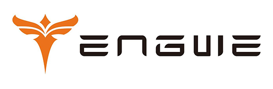 Engwe bikes